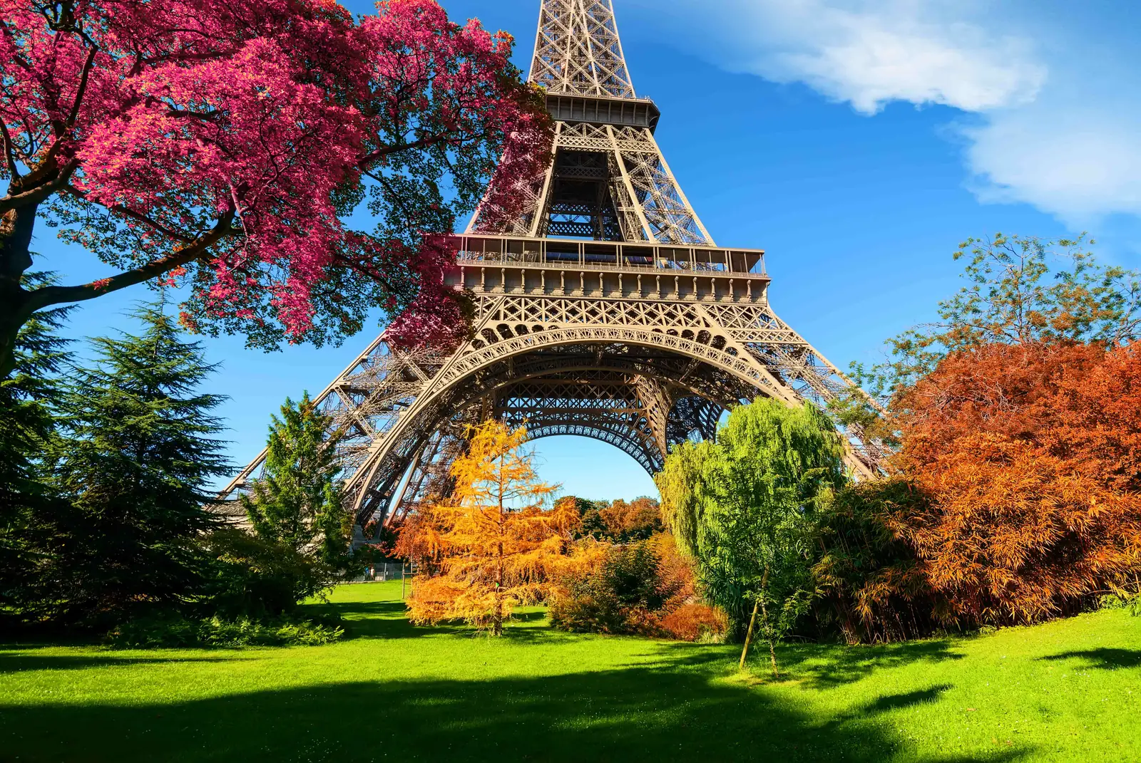 Eiffel Tower surrounded by colourful Paris gardens